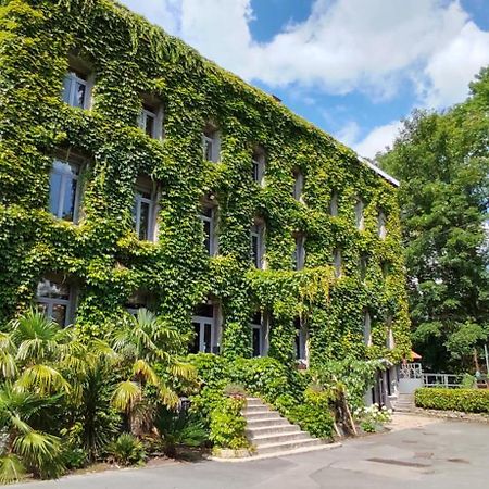 Logis Hotel-Restaurant - Le Moulin D'Artres Екстериор снимка