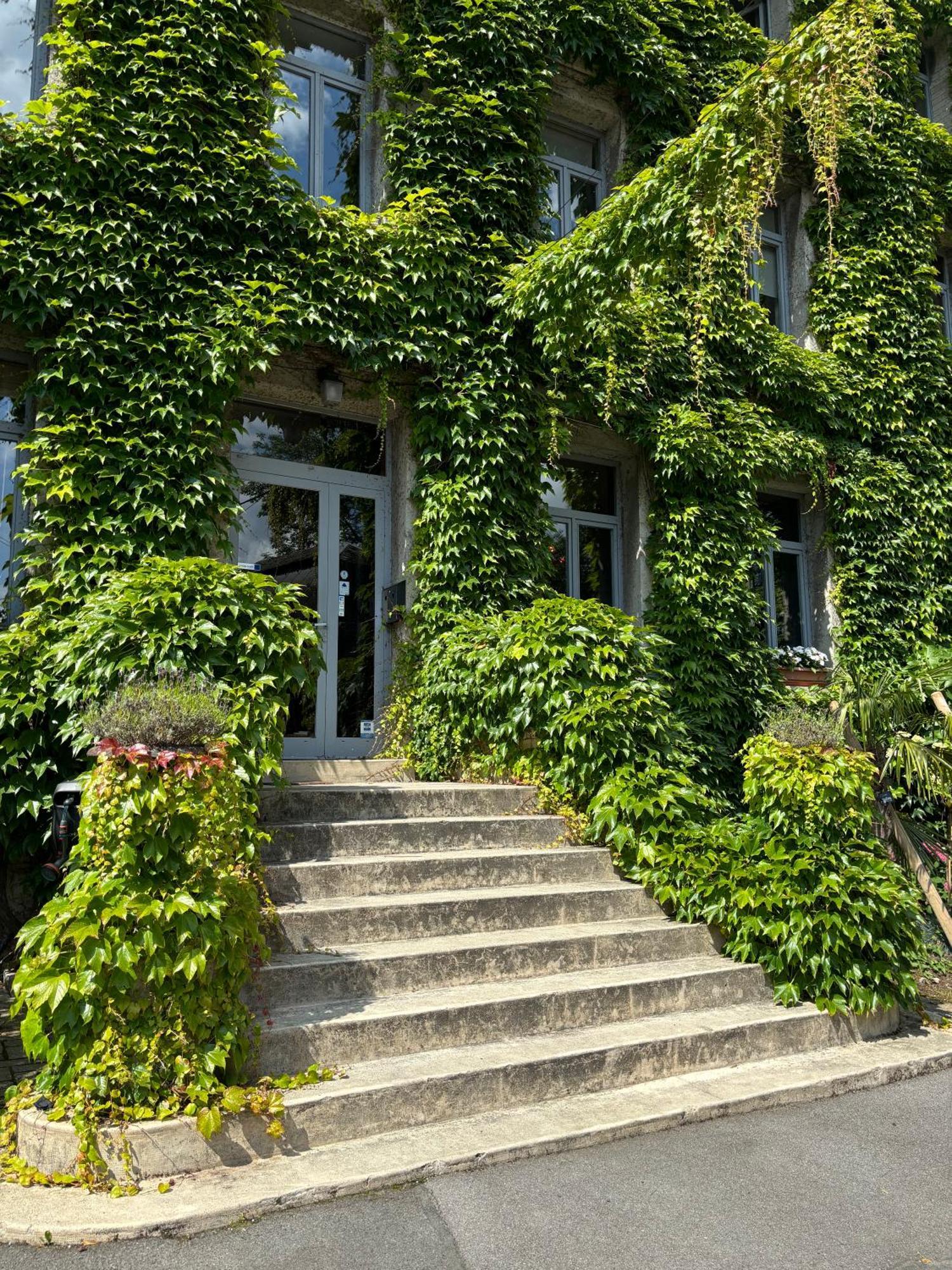 Logis Hotel-Restaurant - Le Moulin D'Artres Екстериор снимка